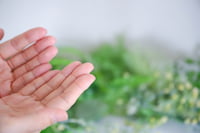 上肢のむくみや水分代謝を整える五苓散（ごれいさん）の活用